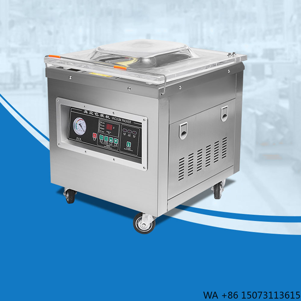 Food Vacuum Sealer - Dz-400 Professional Desktop Vacuum Packaging Automatic