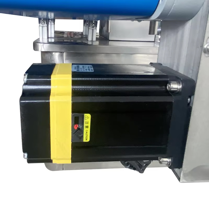 Auto Rotor Pump Filler with Co - Food Vacuum Sealer ulasan dan harga