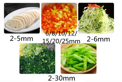 Automatic Vegetable Potato Dic - Vegetable Chopper ulasan dan harga