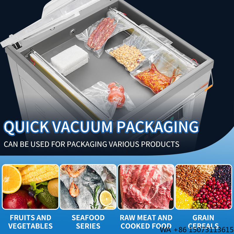 DZ-500  Vertical Single Chambe - Food Vacuum Sealer ulasan dan harga